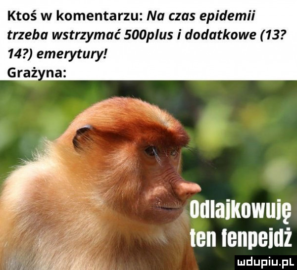 ktoś w komentarzu na czas epidemii trzeba wstrzymać    plus i dodatkowe       emerytury ndlaikowuię ten ienpeidż
