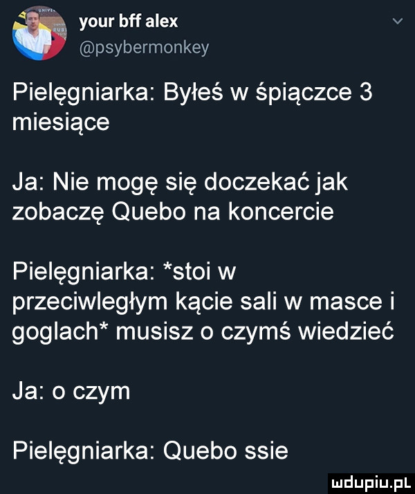 your buf alex v psybermonkey pielęgniarka byłeś w śpiączce   miesiące ja nie mogę się doczekać jak zobaczę quebo na koncercie pielęgniarka stoi w przeciwległym kącie sali w masce i goglach musisz o czymś wiedzieć ja o czym pielęgniarka quebo ssie