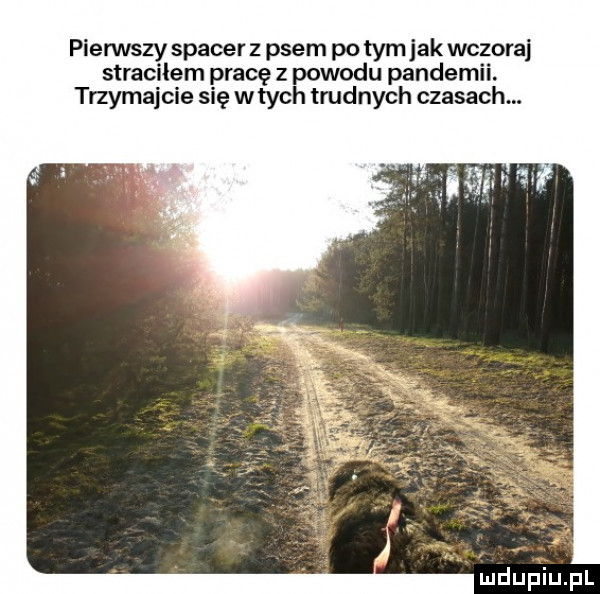 piewvszy spacer z psem po tym jak wczoraj sara m pracę z powodu pandemii. trzymajcie się wtych trudnych czasach