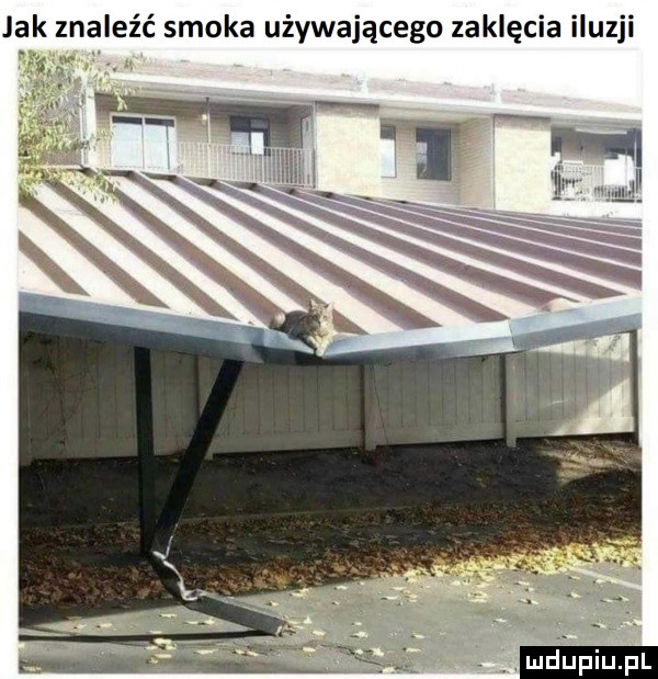 jak znaleźć smoka używającego zaklęcia iluzji