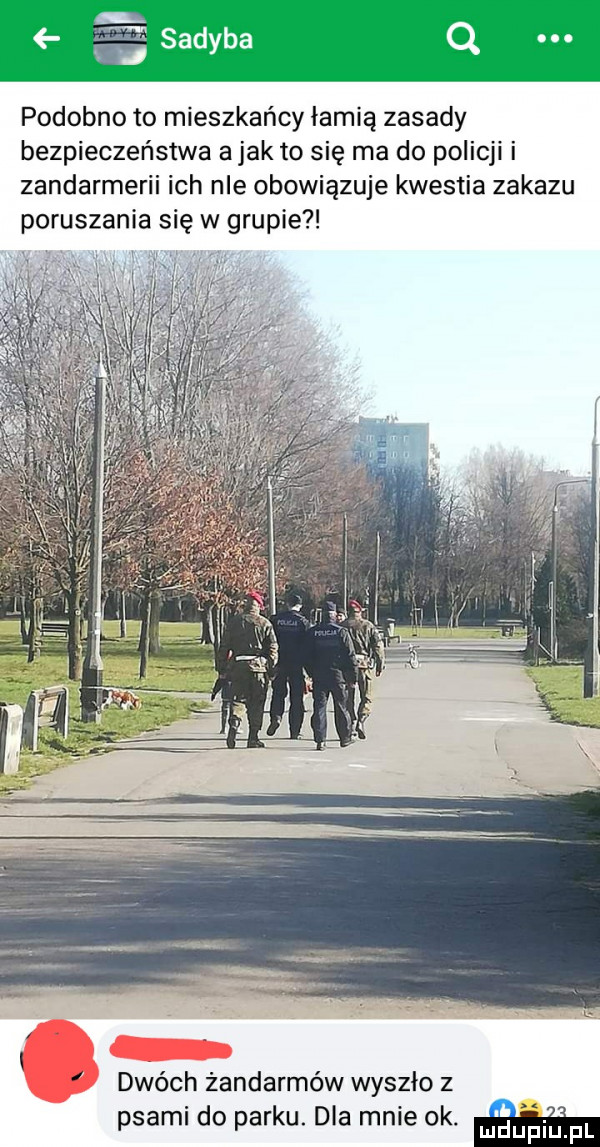 podobno to mieszkańcy łamią zasady bezpieczeństwa abak to się ma do policji i zandarmerii ich nie obowiązuje kwestia zakazu poruszania się w grupie. dwóch żandarmów wyszło z psami do parku. dla mnie ok. w
