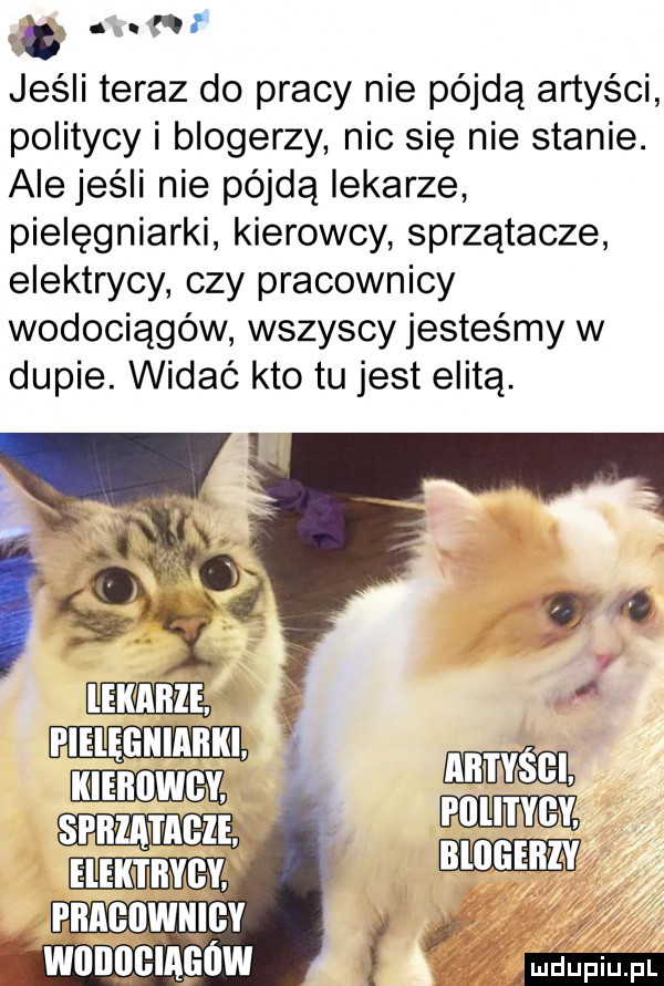 jeśli teraz do pracy nie pójdą artyści politycy i blogerzy nic się nie stanie. ale jeśli nie pójdą lekarze pielęgniarki kierowcy sprzątacze elektrycy czy pracownicy wodociągów wszyscy jesteśmy w dupie. widać kto tu jest elitą. abakankami f