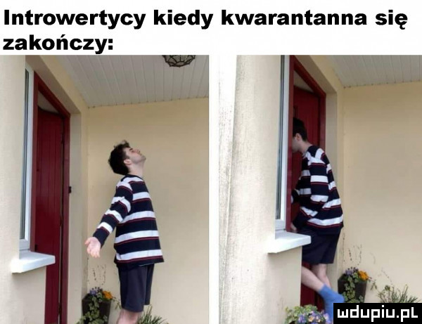 introwertycy kiedy kwarantanna się zakończy mdupiutpl