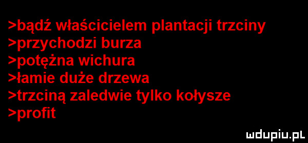 bądź właścicielem plantacji trzciny przychodzi burza potężna wichura lamie duże drzewa trzciną zaledwie tylko kołysze profit