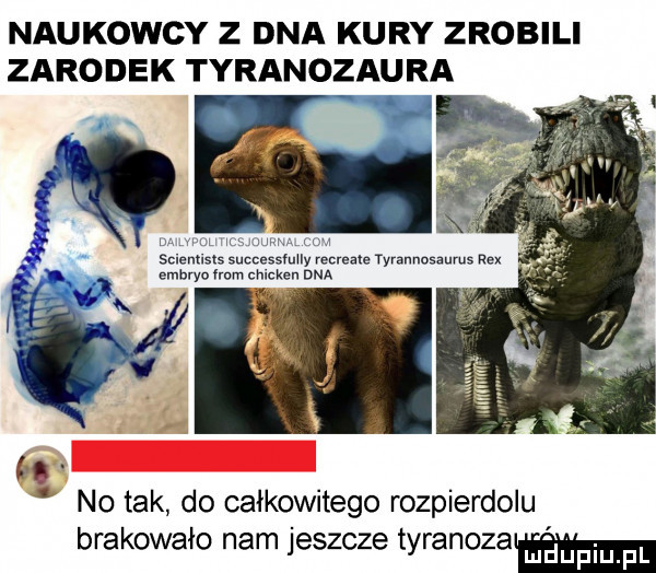 naukowcy z dna kury zrobili zarodek tyranozaura w m n mm mm scientists successfuuy recreate yyrannasaums rex mary  ham chicken dna no tak do całkowitego rozpierdolu brakowało nam jeszcze tyranozale mm