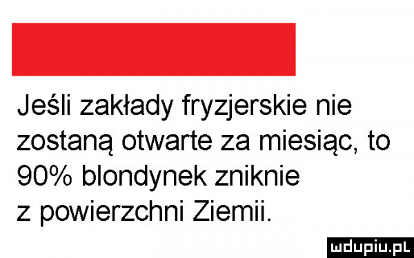 jeśli zakłady fryzjerskie nie zostaną otwarte za miesiąc to    blondynek zniknie z powierzchni ziemni
