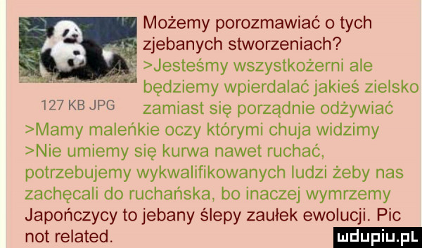 możemy porozmawiać o tych v zjebanych stworzeniach. jesteśmy wszystkożerni ale będziemy wpierdalac jakieś zielsko     kb jpg zamiast się porządnie odżywiać mamy maleńkie oczy którymi chuja widzimy nie umiemy się kurwa nawet ruchac potrzebujemy wykwalifikowanych ludzi żeby nas zachęcali dc rachańska bo inaczej wymrzemy japończycy to jebany ślepy zaułek ewolucji. pic not related