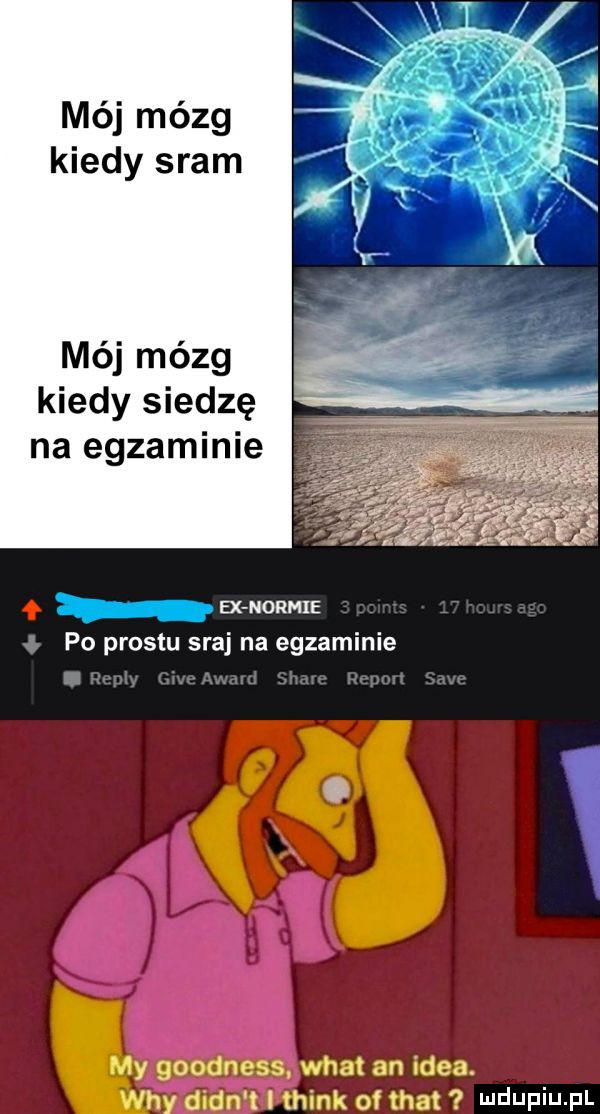 kiedy sram mój mózg kiedy siedzę na egzaminie ex normie po prestu sraj na egzaminie e. abakankami   goodness. wiat an idea. y dian t i think of trat ludwin fl