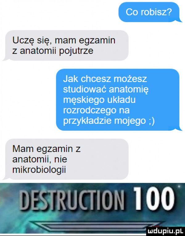 uczę się mam egzamin z anatomii pojutrze mam egzamin z anatomii nie mikrobiologii     mﬂupiupl