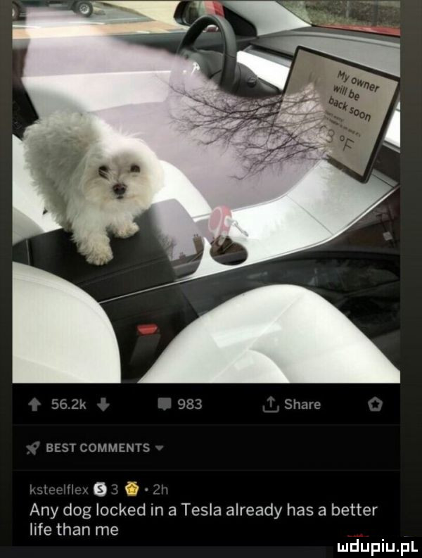 a     sh ire best comments. w   any dog locked in   tesla already has a better lice tran me
