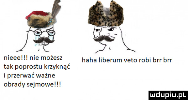 nieeelll nie możesz tak podrostu krzyknąć i przedać ważne obrady sejmowe haba liberem veto robi brr brr