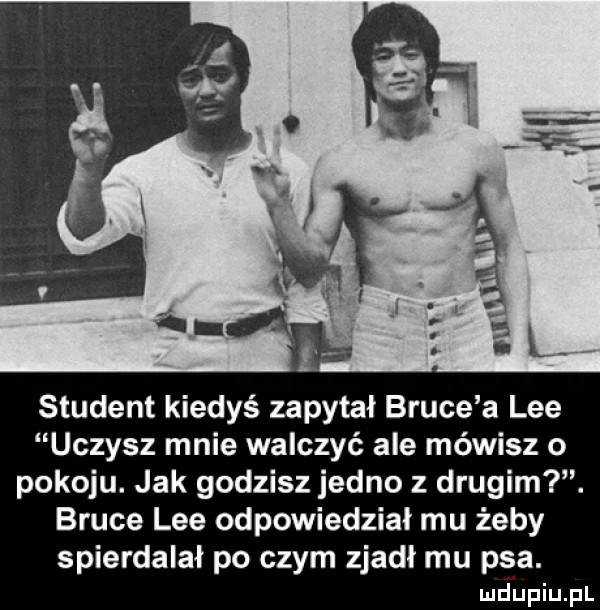student kiedyś zapytał bruce a lee uczysz mnie walczyć ale mówisz o pokoju. jak godzisz jedno z drugim. bruce lee odpowiedzial mu żeby spierdalał po czym zjadł mu psa