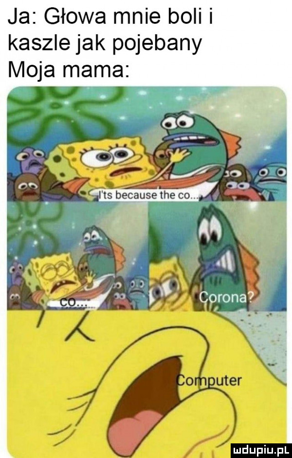 ja głowa mnie boli i kaszle jak pojebany moja mama