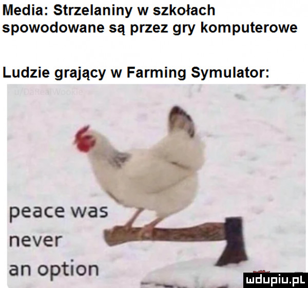 media strzelaniny w szkołach spowodowane są przez gry komputerowe ludzie grający w forming symulator i peace was neper anoptlon