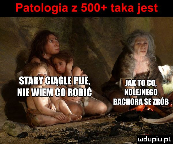 patologia       taka jest stary g iacie i ice jaź i um m im icie wiem en nalne ragnar ncnonn sum lmdupiupl