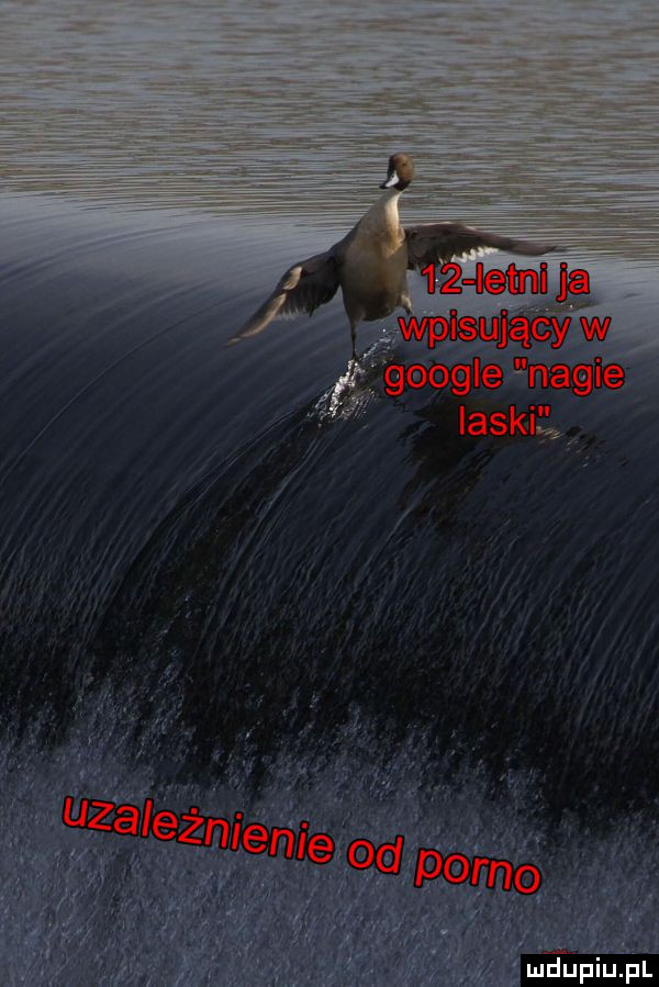 googleﬂ n able laskil