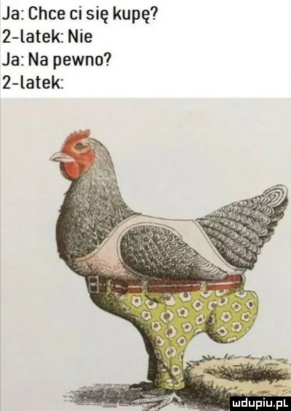ja chce ci się kupę   ja na pewno latek nie   latek