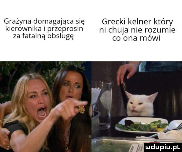 grażyna domagające się grecki kelner który kierownika przeprosin ni chuja nie rozumie za fatalną obsługę co ona mówi