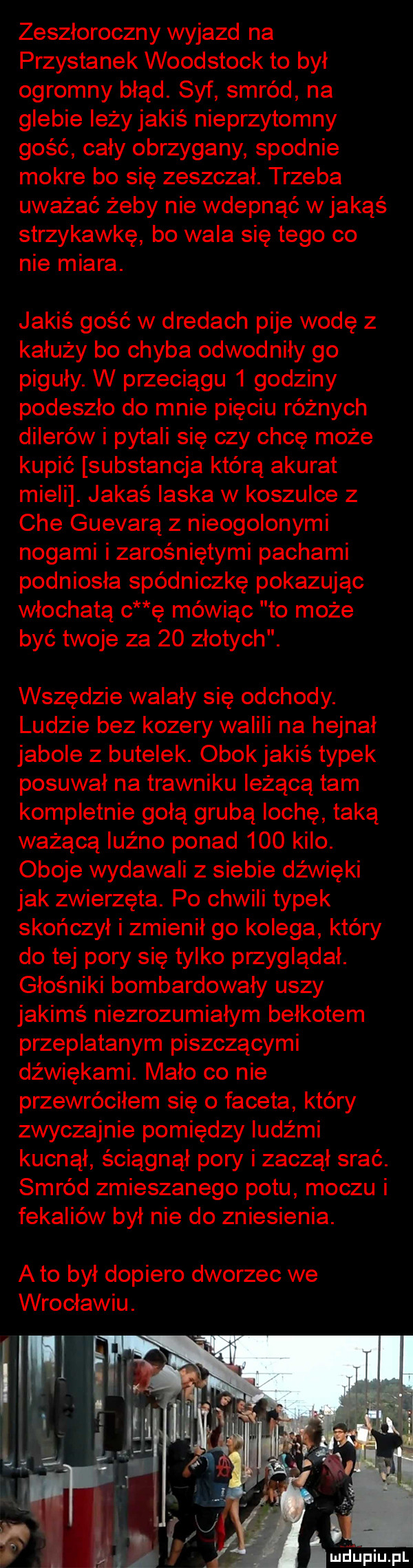 zeszłoroczny wyjazd na przystanek woodstock to był ogromny błąd. syf smród na glebie iłży jakiś nieprzytomny gość cały obrzygany spodnie mokre bo się zeszczał. trzeba uważać żeby nie wdepnąć w jakąś strzykawkę bo wala się tego co nie miara. jakiś gość w dredach pije wodę z kałuży bo chyba odwodniły go piguły. w przeciągu   godziny podeszło do mnie pięciu różnych dilerów i pytali się czy chcę może kupić substancja którą akurat mieli. jakaś łaska w koszulce z che guevarą z nieogolonymi nogami izarośniętymi pachami podniosła spódniczkę pokazując włochatą c ę mówiąc to może być twoje za    złotych. wszędzie walały się odchody. ludzie bez kozery walili na hejnał jabole z butelek. obok jakiś typek posuwał na trawniku leżącą tam kompletnie gołą grubą lochę taką ważącą luźno ponad     kilo. oboje wydawali z siebie dźwięki jak zwierzęta. po chwili typek skończył i zmienił go kolega który do tej pory się tylko przyglądał. głośniki bombardowały uszy jakimś niezrozumiałym bełkotem przeplatanym piszczącymi dźwiękami. mało co nie przewróciłem się o faceta który zwyczajnie pomiędzy ludźmi kucnął ściągnął pory i zaczął srać. smród zmieszanego potu moczu i fekaliów był nie do zniesienia. a to był dopiero dworzec we wrocławiu