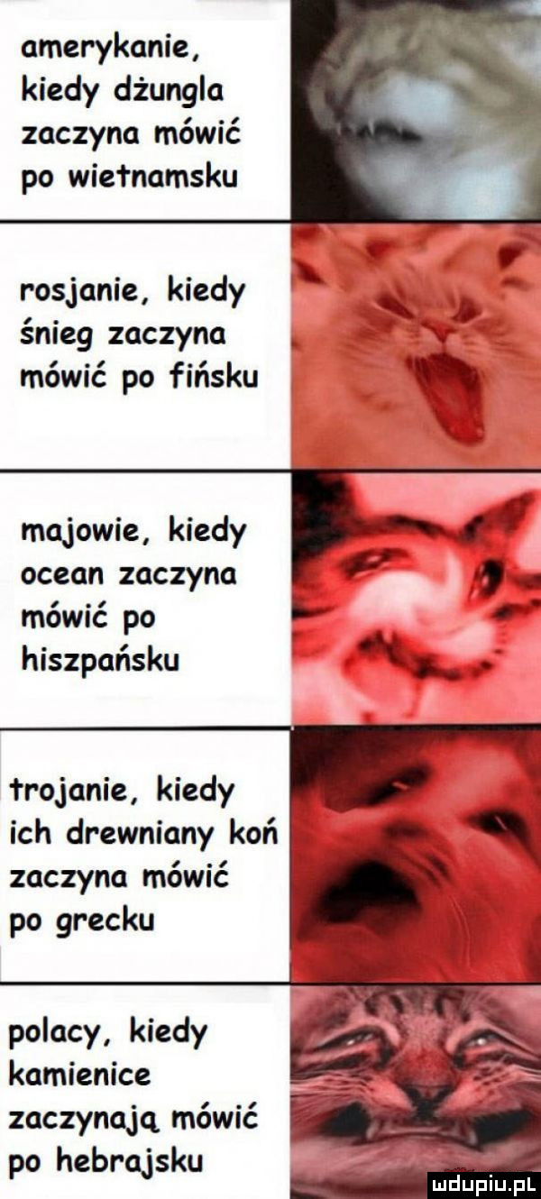 amerykanie kiedy dżungla zaczyna mówić po wietnamsku rosjanie kiedy ł x. śnieg zaczyna.   mówić po fińsku q x. mówić po   hiszpańsku zaczyna mówić po grecku polacy kiedy kamienice zaczynają mówić po hebrajsku