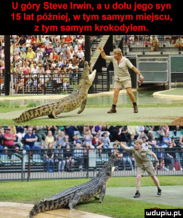 u góry steve irmin a u dołu jego syn    lat później. w tym samym miejscu z tym samym krokodylem