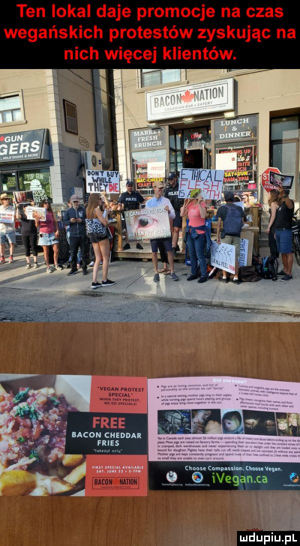 ten iokai daje promocje na czas wegańskich protestów zyskując na nich więcej klientów. q free   neon cuznnn chant canvasshn. om q i elan c