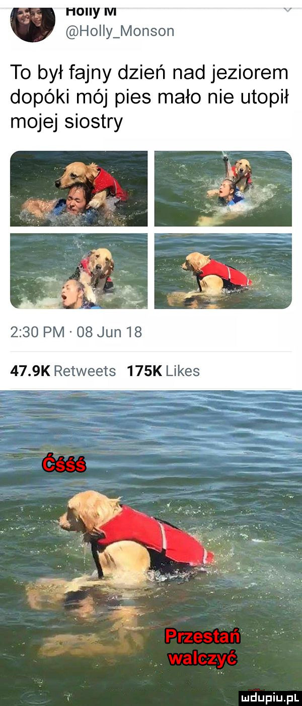 hoiiy m ho y monsun to był fajny dzień nad jeziorem dopóki mój pies mało nie utopił mojej siostry      pm    jun        k retweets    k limes