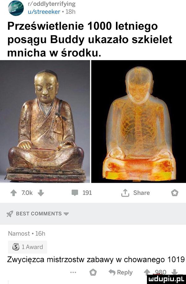 v oddxyterrifymg u streeeker   h prześwietlenie      letniego posągu buddy ukazało szkielet mnicha w środku.    k     stare eestcomments newest   h cs lawawd zwycięzca mistrzostw zabawy w chowanego      repry łłl mduplu pl