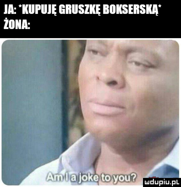 m kici ilię giiiisikę bokserski żoiia cf irla