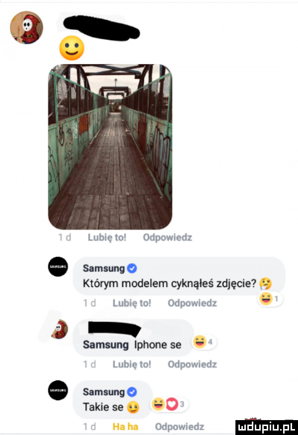 lubię d odpowiedz samsung którym modelem cyknąłeś zdjęcie lubię m odpowmdz samsung iphone se lubie to odpomedz o samsung   takie se. o ha ha odewiedz