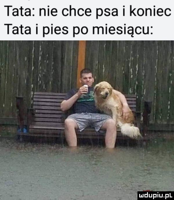 tata nie chce psa i koniec tata i pies po miesiącu