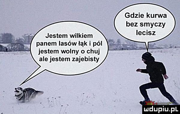 gdzie kurwa bez smyczy jestem wilkiem panem lasów łąk i pól jestem wolny o chuj ale jestem zajebisty