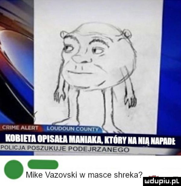 innem unsun nam m m m policja poszukuje podejrzanego   mike vazovskl w masce shreka