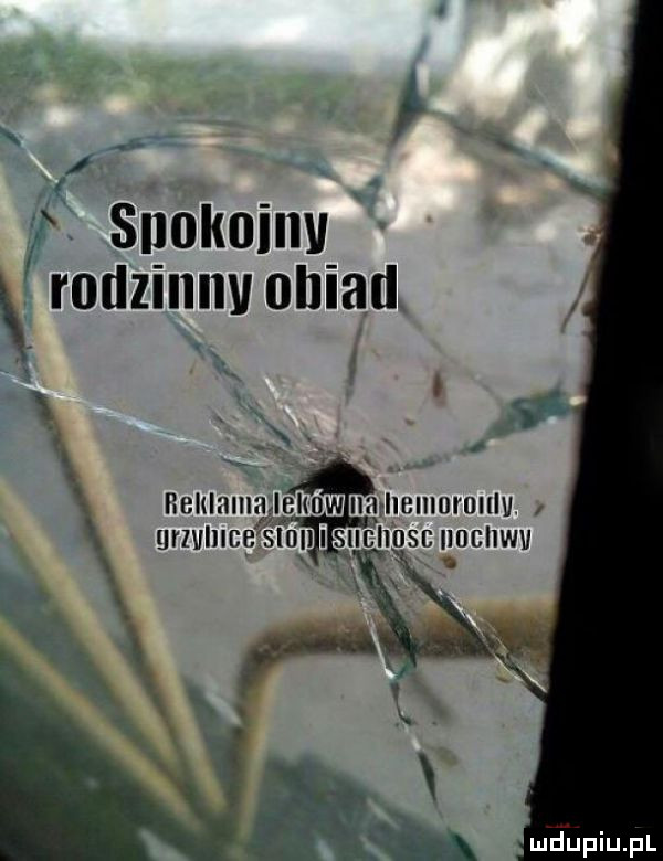 l.   snokuinv x rodzinny obiad hbiuhiiih ibhdw rhemnrnulv uerlheb śldi i siiciiuse iiociiwv
