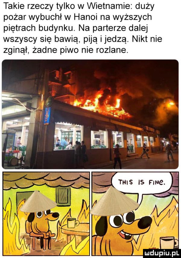takie rzeczy tylko w wietnamie duży pożar wybuchł w hanoi na wyższych piętrach budynku. na parterze dalej wszyscy się bawią piją ijedzą. nikt nie zginął żadne piwo nie rozlane. mru piupl