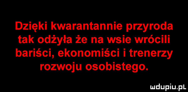 dzięki kwarantannie przyroda tak odżyła że na wsie wrócili bariści ekonomiści i trenerzy rozwoju osobistego