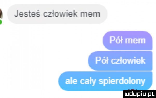 i jesteś człowiek mem pół mem pół człowiek ale cały spierdolony