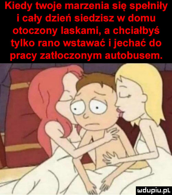 kiedy twoje marzenia się spełniły i cały dzień siedzisz w domu otoczony laskami a chciałbyś tylko rano wstawać ijechać do pracy zatłoczonym autobusem. ludu iu. l