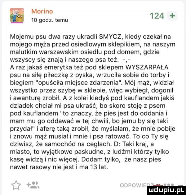 marino    godz. temu     mojemu psu dwa razy ukradli smycz kiedy czekal na mojego męża przed osiedlowym sklepikiem na naszym malutkim warszawskim osiedlu pod domem gdzie wszyscy się znają i naszego psa też a raz jakaś emerytka też pod sklepem wyszarpala psu na sile poleczkę z pyska wrzucila sobie do torby i biegiem opuściła miejsce zdarzenia. mój mąż widzial wszystko przez szybę w sklepie więc wybiegi dogonil iawanturę zrobil. a z kolei kiedyś pod kauflandem jakiś dziadek chcial mi psa ukraść bo skoro stoję z psem pod kauflandem to znaczy źe pies jest do oddania i mam mu go oddawać w tej chwili bo jemu by się taki przydal i aferę taką zrobil że myślałam że mnie pobije i znowu maż musial i mnie i psa ratować. to co ty się dziwisz że samochód na ceglach. d taki kraj a miasto to wyjątkowe paskudne z ludźmi którzy tylko kasę widzą i nic więcej. dodam tylko że nasz pies nawet rasowy niejest i ma    lat. ludu l