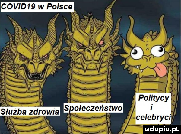 covid   w polsce służba zdrowia