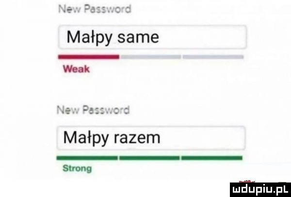 małpy same wink małpy razem strona