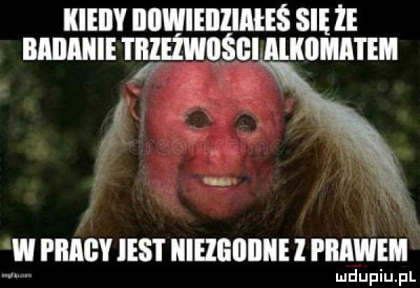 kieiiy dowieiiiimes się że badanie teeżwbśgiaikiimatem a w pnncv nar uliznunui rnnwm
