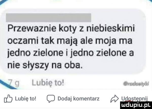 przewaznie koty z niebieskimi oczami tak mają ale moja ma jedno zielone i jedno zielone a nie słyszy na oba. x lubię to rgśigyiyir lb lubię to c dodaj komentarz a u sini