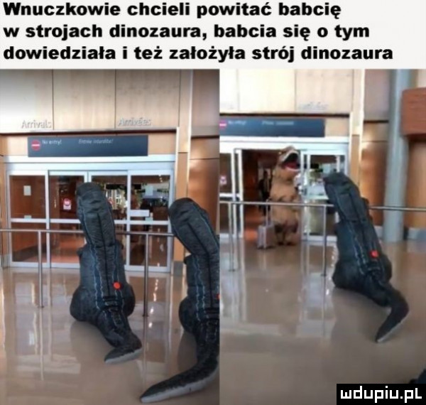 wnuczkowie chcieli powitać babcię w strojach dinozaura babcia się o tym dowiedziala i też założyła strój dinozaura
