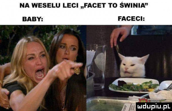 na weselu leci facet to świnia baby faceci