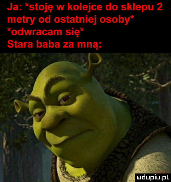 ja stoję w kolejce do sklepu   metry od ostatniej osoby odwracam się stara baba za mną