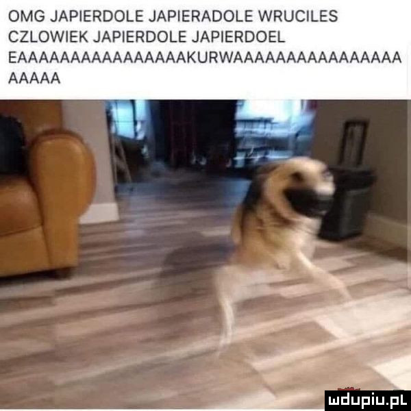omg japierdole japieradole wruciles czlowiek japierdole japierdoel eaaaaaaaaaaaaaaaakurwaaaaaaaaaaaaaaaa aaaaa