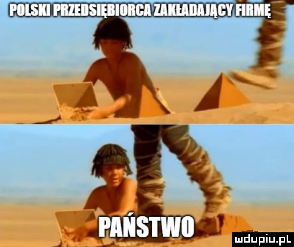piilsli misiem gl immune fai ę