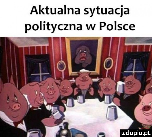 aktualna sytuacja polityczna w polsce