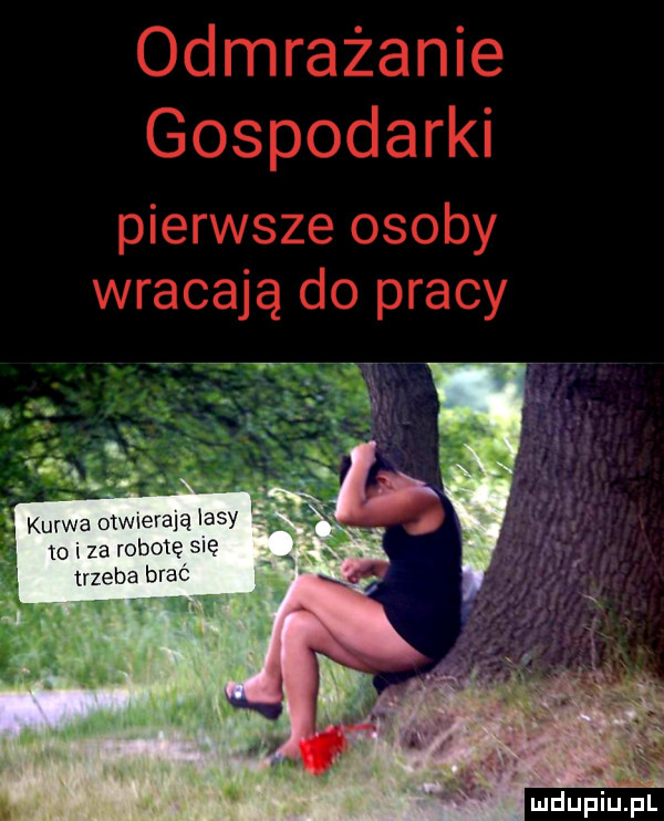 mdupiup